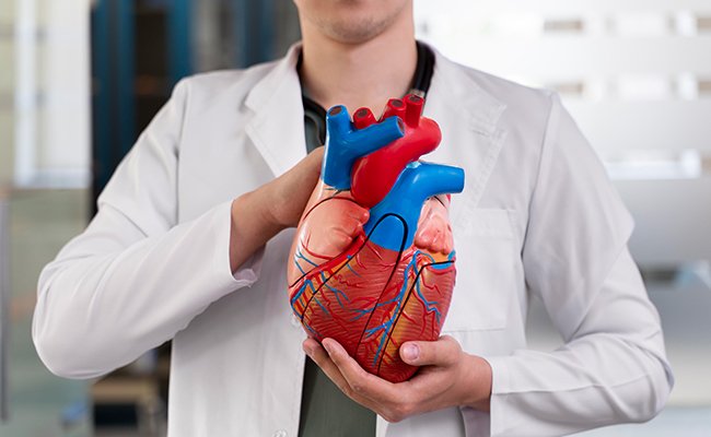 Comprehensive cardiology at Amor
